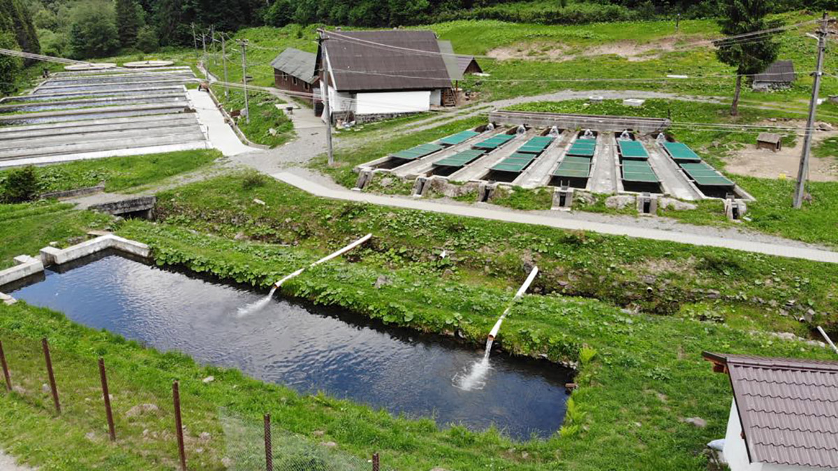 Vedere aeriană a unei păstrăvării montane cu bazine și canale de alimentare
